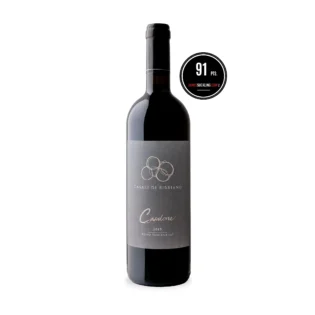 Bottiglia di vino Casali di Bibbiano Casalone 2019